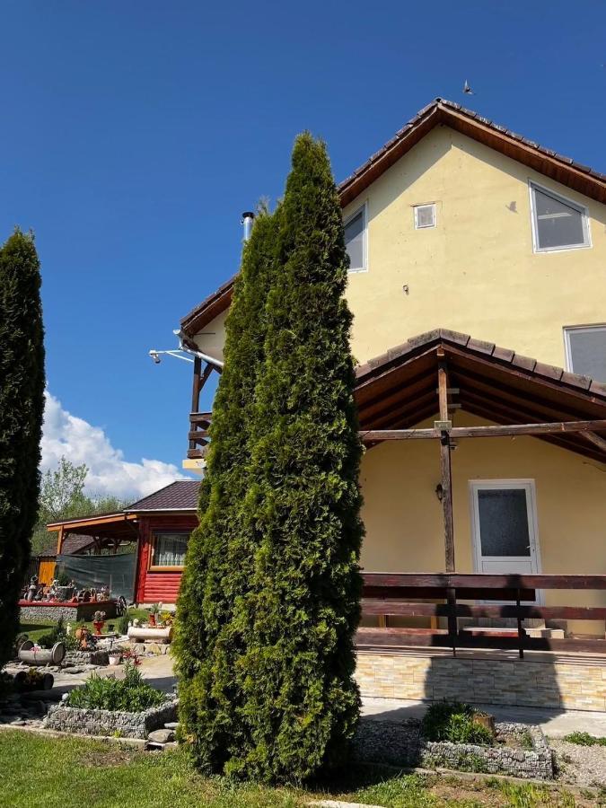 Pensiunea Colt De Rai, Vistisoara Statiunea Climaterica Sambata Eksteriør bilde
